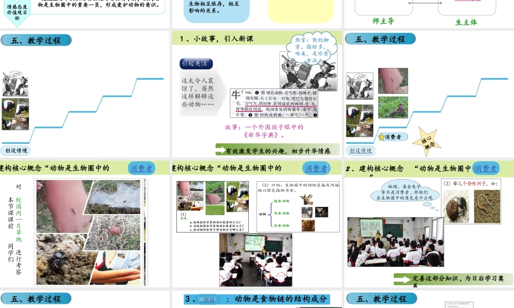 八年级生物上册 17.1 动物在生物圈中的作用说课课件 北师大版-北师大级上册生物课件