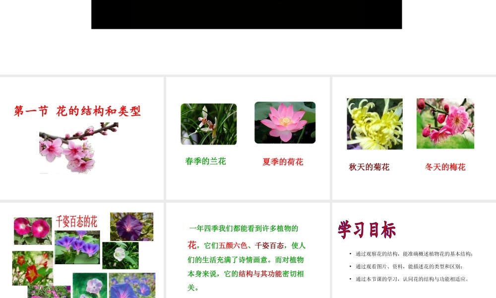 八年级生物上册 1.1 花的结构和类型课件 （新版）济南版