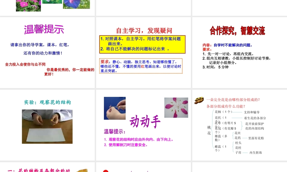 八年级生物上册 1.1 花的结构和类型课件 （新版）济南版