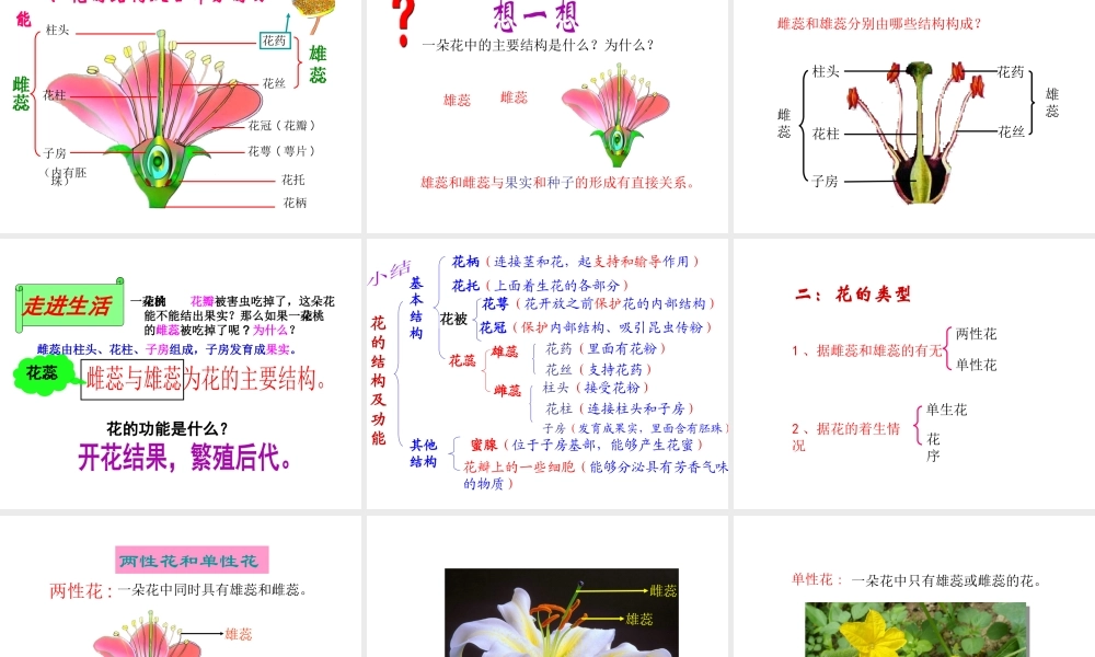 八年级生物上册 1.1 花的结构和类型课件 （新版）济南版