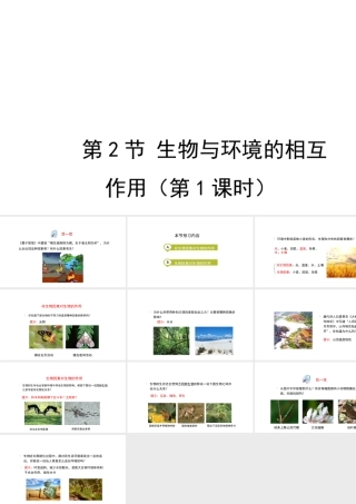八年级生物上册 1.1.2 生物与环境的相互影响（第1课时）课件 （新版）新人教版-（新版）新人教版初中八年级上册生物课件
