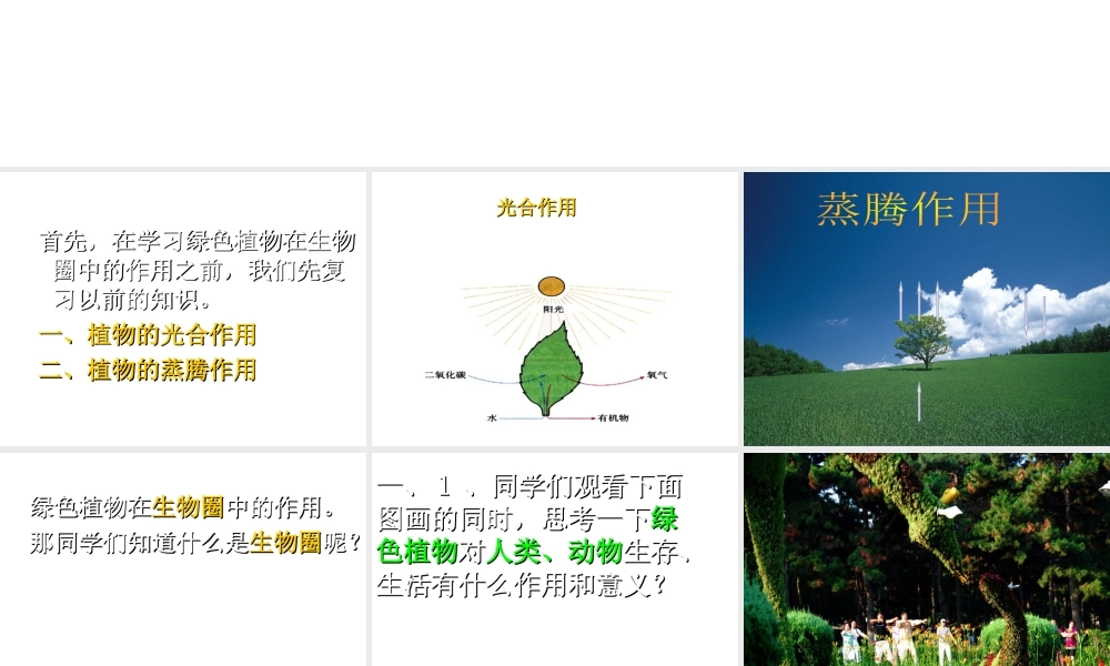 八年级生物上册 3.5 绿色植物在生物圈中的作用课件 （新版）冀教版-（新版）冀教版初中八年级全册生物课件