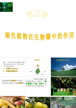 八年级生物上册 3.5 绿色植物在生物圈中的作用课件 （新版）冀教版-（新版）冀教版初中八年级全册生物课件