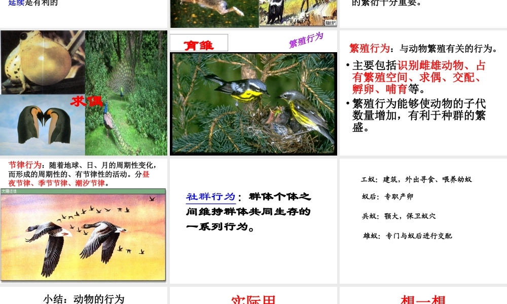 八年级生物上册 4.2.2 动物行为的类型课件 （新版）冀教版-（新版）冀教版初中八年级上册生物课件