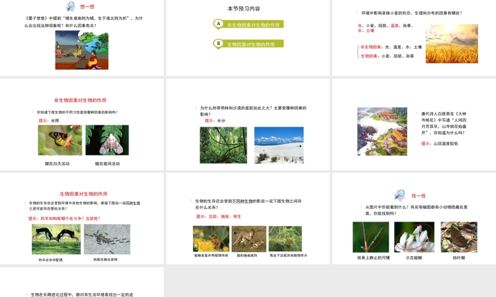 八年级生物上册 1.1.2 生物与环境的相互影响（第1课时）课件 （新版）新人教版-（新版）新人教级上册生物课件