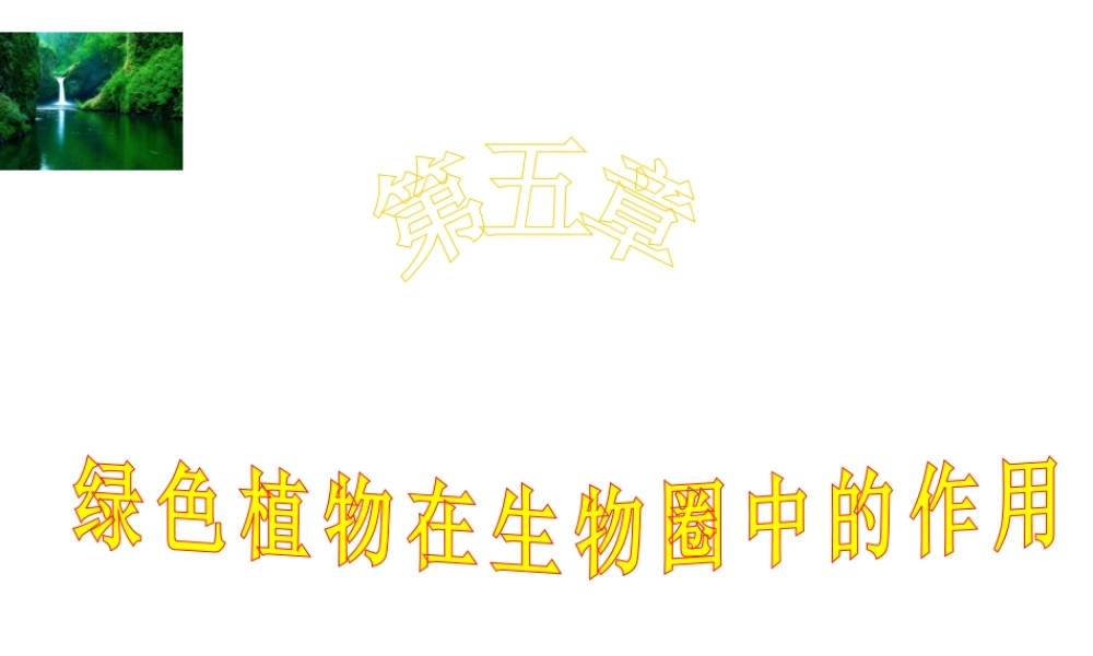 八年级生物上册 3.5 绿色植物在生物圈中的作用课件 （新版）冀教版-（新版）冀教级全册生物课件