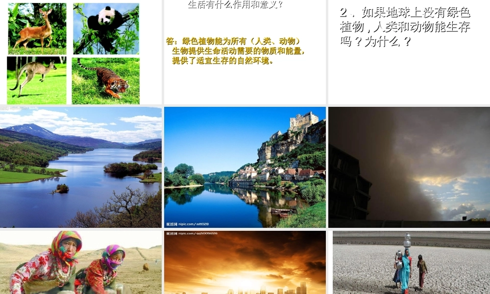 八年级生物上册 3.5 绿色植物在生物圈中的作用课件 （新版）冀教版-（新版）冀教级全册生物课件