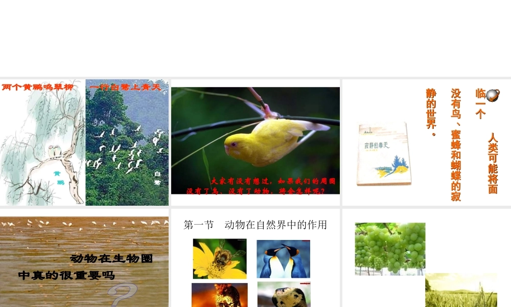 八年级生物上册 17.1 动物在生物圈中作用课件 （新版）北师大版-（新版）北师大级上册生物课件