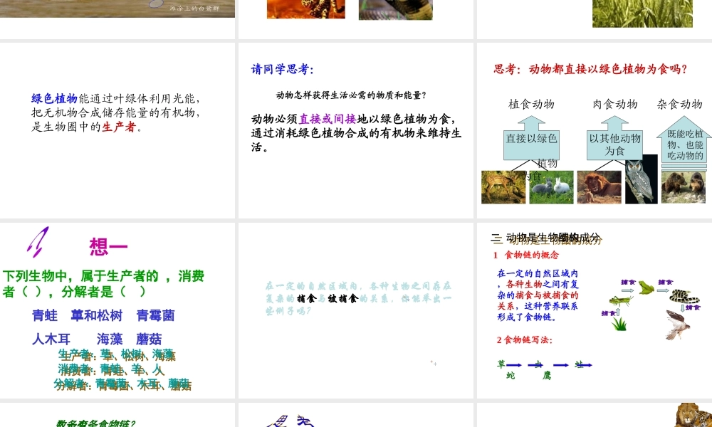 八年级生物上册 17.1 动物在生物圈中作用课件 （新版）北师大版-（新版）北师大级上册生物课件