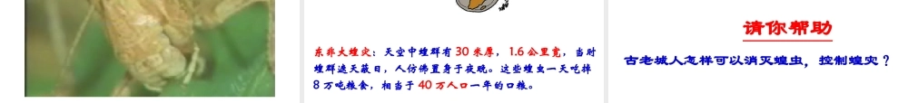 八年级生物上册 17.1 动物在生物圈中作用课件 （新版）北师大版-（新版）北师大级上册生物课件