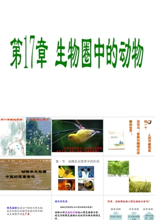 八年级生物上册 17.1 动物在生物圈中作用课件 （新版）北师大版-（新版）北师大级上册生物课件