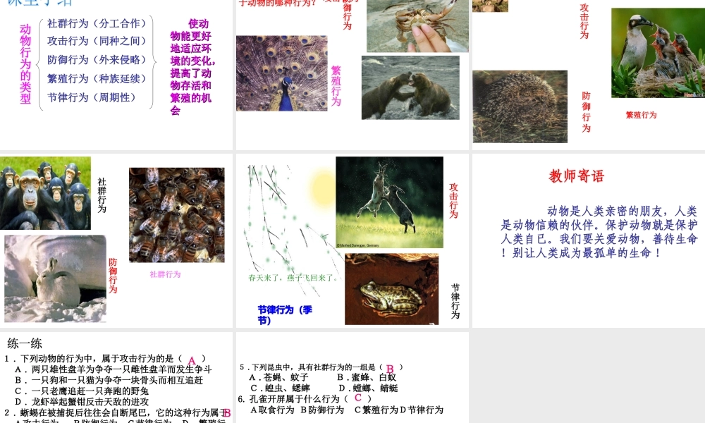 八年级生物上册 4.2.2 动物行为的类型课件 冀教版-冀教版初中八年级上册生物课件