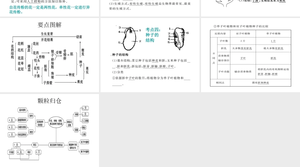 八年级生物上册 4.1 绿色开花植物的一生复习（第1课时）课件 （新版）济南版