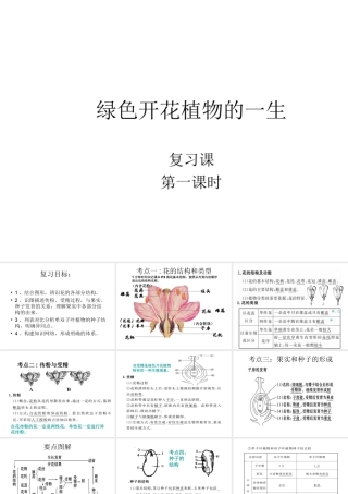 八年级生物上册 4.1 绿色开花植物的一生复习（第1课时）课件 （新版）济南版