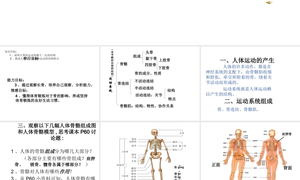 八年级生物上册 17.1 人体的运动教学课件 （新版）苏科版-（新版）苏科版初中八年级上册生物课件