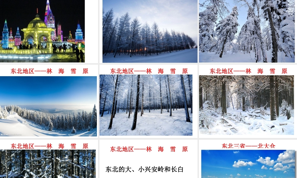 八年级地理下册 第六章 第二节“白山黑水”——东北三省课件 （新版）新人教版