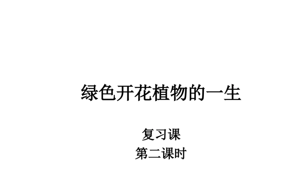八年级生物上册 4.1 绿色开花植物的一生复习（第2课时）课件 （新版）济南版