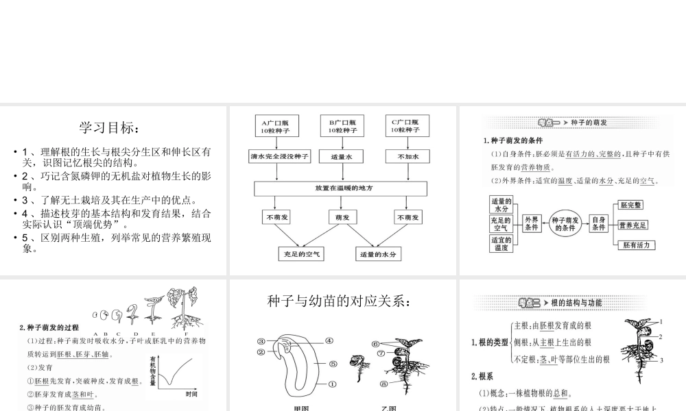 八年级生物上册 4.1 绿色开花植物的一生复习（第2课时）课件 （新版）济南版