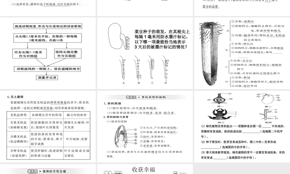八年级生物上册 4.1 绿色开花植物的一生复习（第2课时）课件 （新版）济南版