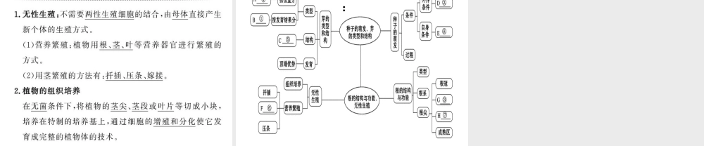 八年级生物上册 4.1 绿色开花植物的一生复习（第2课时）课件 （新版）济南版