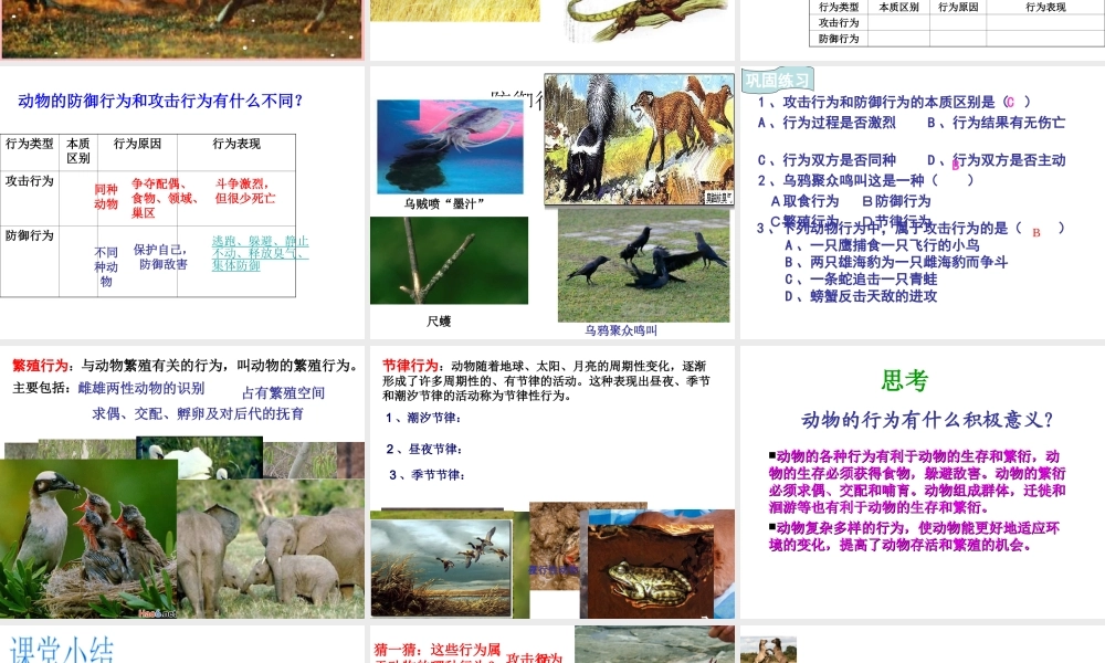 八年级生物上册 4.2.2 动物行为的类型课件 冀教版-冀教级上册生物课件