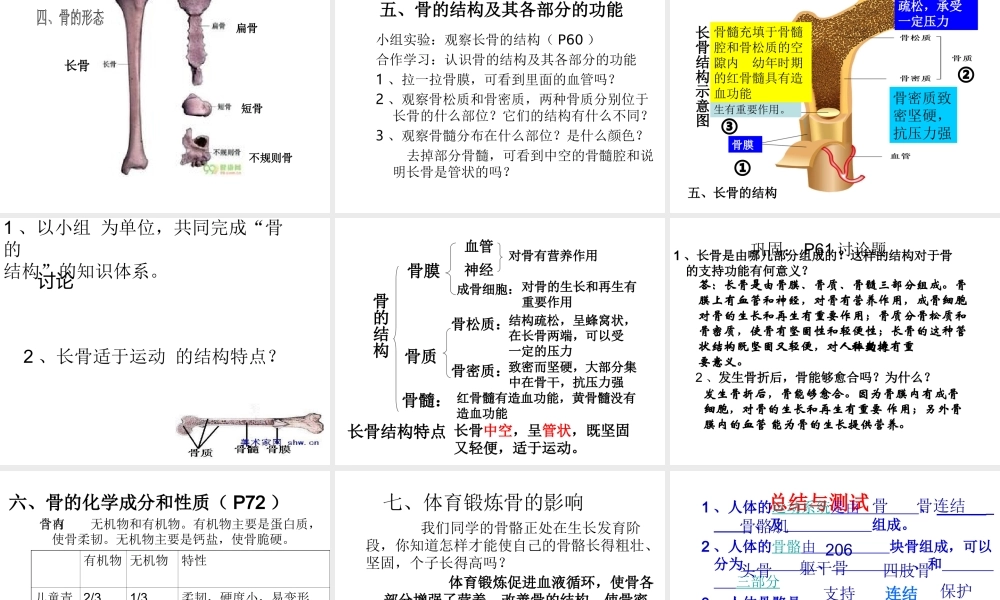 八年级生物上册 17.1 人体的运动教学课件 （新版）苏科版-（新版）苏科级上册生物课件