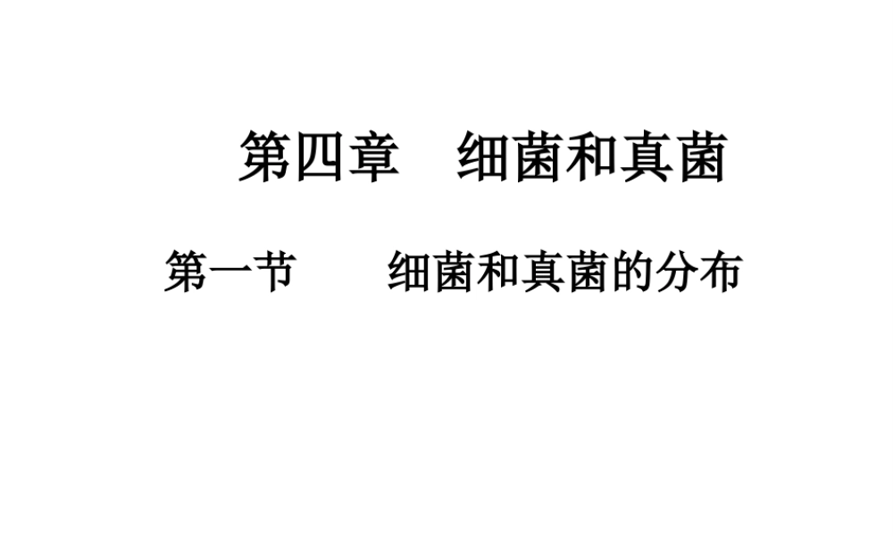 八年级生物上册 4.1 细菌和真菌的分布课件 新人教版