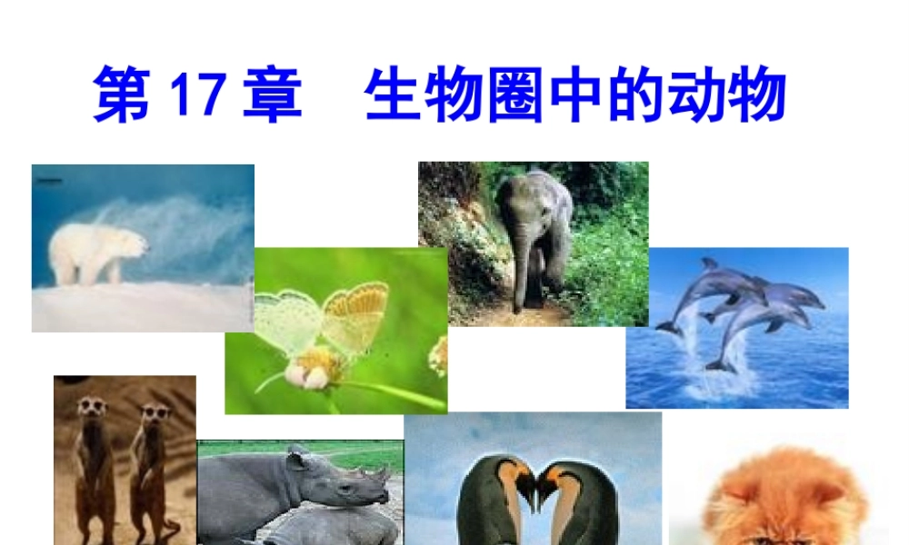 八年级生物上册 17.1《动物在生物圈中的作用》课件1 （新版）北师大版-（新版）北师大版初中八年级上册生物课件