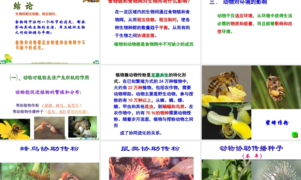 八年级生物上册 17.1《动物在生物圈中的作用》课件1 （新版）北师大版-（新版）北师大版初中八年级上册生物课件