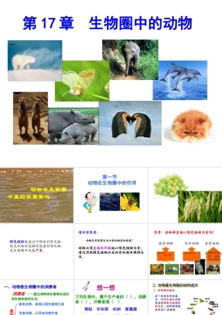 八年级生物上册 17.1《动物在生物圈中的作用》课件1 （新版）北师大版-（新版）北师大版初中八年级上册生物课件