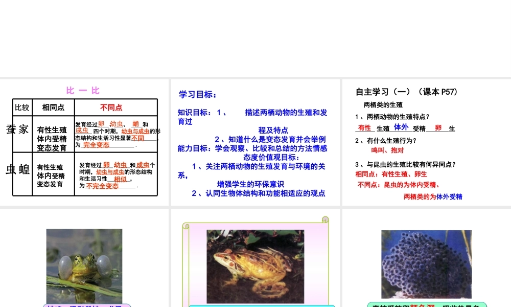 八年级生物上册 4.2.2 两栖动物的生殖和发育课件 （新版）济南版-（新版）济南级上册生物课件