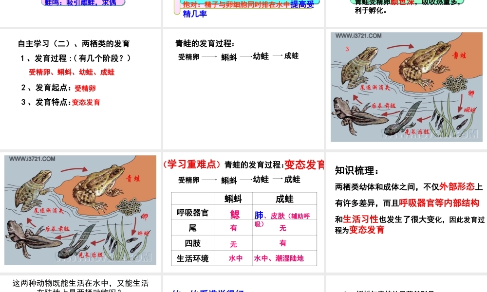 八年级生物上册 4.2.2 两栖动物的生殖和发育课件 （新版）济南版-（新版）济南级上册生物课件