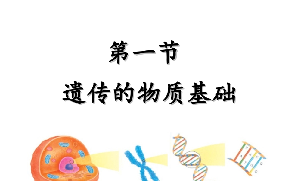八年级生物上册 4.1 遗传的物质基础课件 （新版）济南版