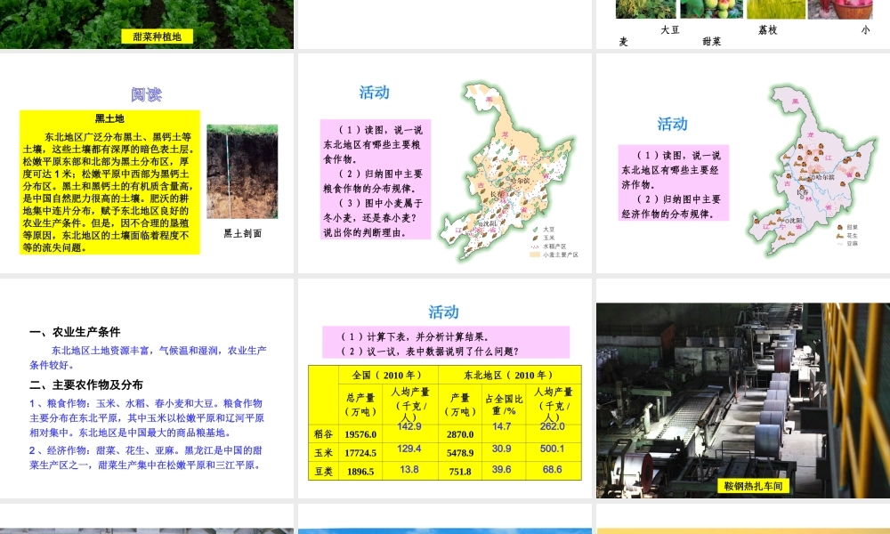 八年级地理下册 第六章 第三节 东北地区的产业分布课件 （新版）湘教版-（新版）湘教版初中八年级下册地理课件