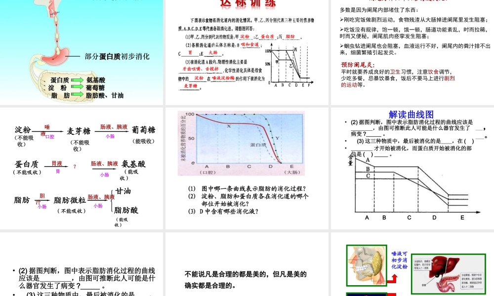 八年级生物上册 4.2.2 消化和吸收（第2课时）课件 鲁科版-鲁科版初中八年级上册生物课件