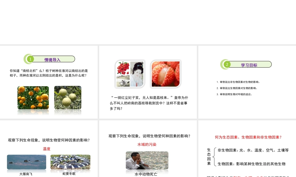 八年级生物上册 1.1.2《生物与环境的相互影响》（第1课时）课件1 （新版）新人教版-（新版）新人教级上册生物课件