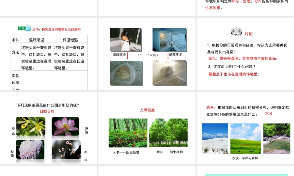 八年级生物上册 1.1.2《生物与环境的相互影响》（第1课时）课件1 （新版）新人教版-（新版）新人教级上册生物课件
