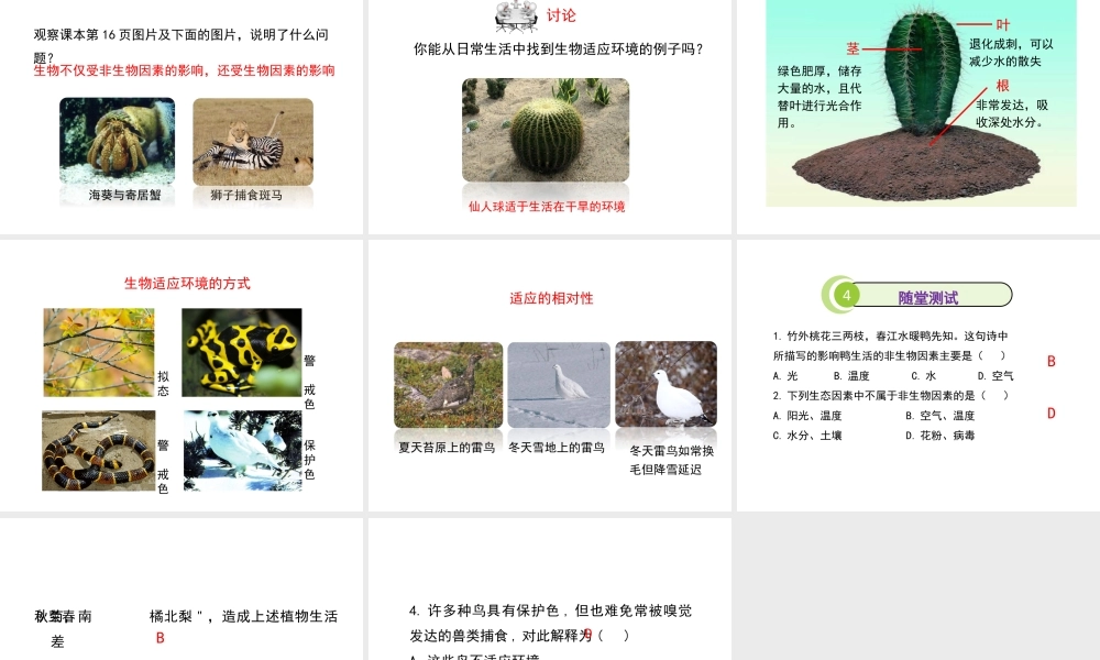 八年级生物上册 1.1.2《生物与环境的相互影响》（第1课时）课件1 （新版）新人教版-（新版）新人教级上册生物课件