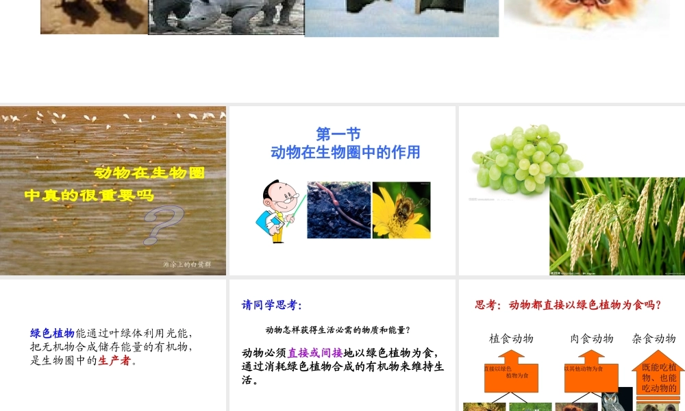 八年级生物上册 17.1《动物在生物圈中的作用》课件1 （新版）北师大版-（新版）北师大级上册生物课件