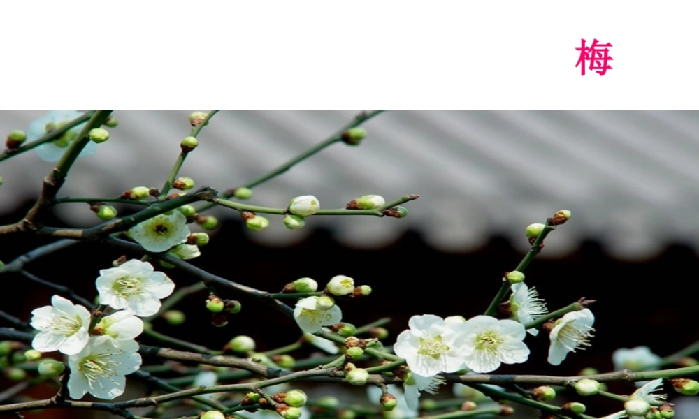 八年级生物上册 4.1.1 花的结构和类型课件 （新版）济南版-（新版）济南版初中八年级上册生物课件