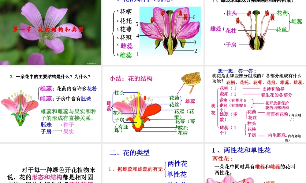 八年级生物上册 4.1.1 花的结构和类型课件 （新版）济南版-（新版）济南版初中八年级上册生物课件