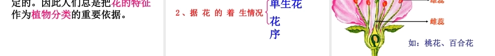 八年级生物上册 4.1.1 花的结构和类型课件 （新版）济南版-（新版）济南版初中八年级上册生物课件