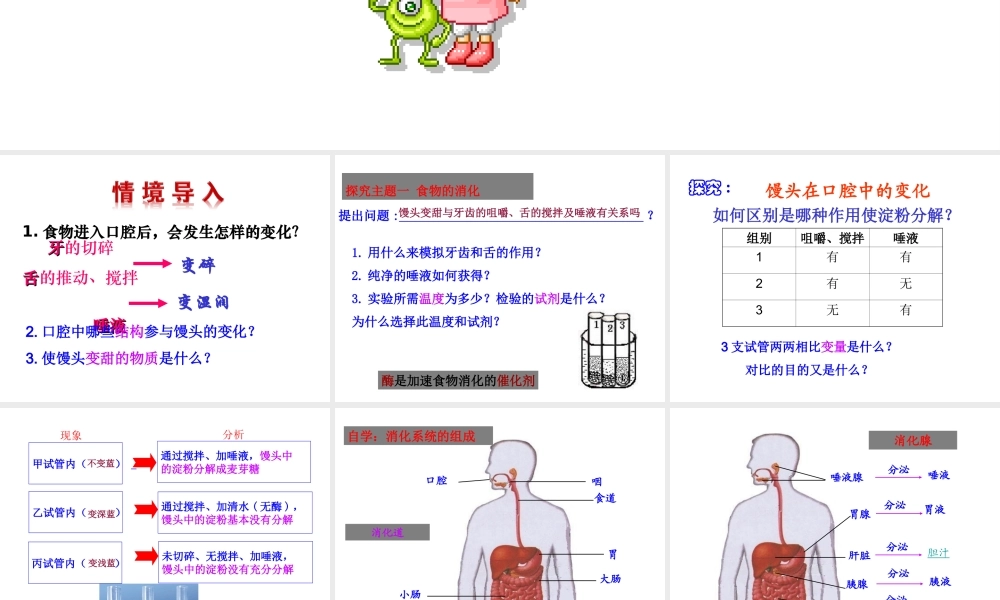 八年级生物上册 4.2.2 消化和吸收（第2课时）课件 鲁科版-鲁科级上册生物课件