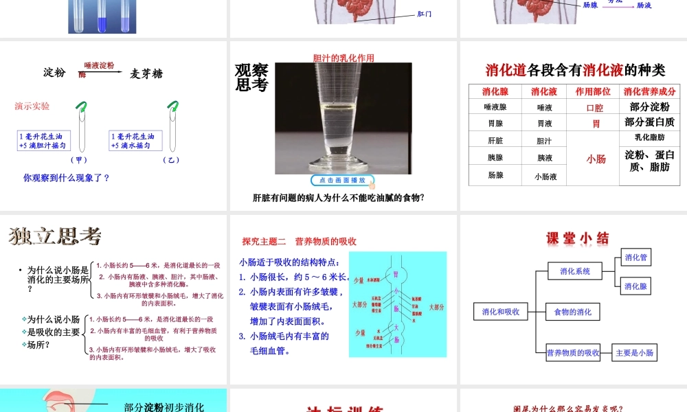 八年级生物上册 4.2.2 消化和吸收（第2课时）课件 鲁科版-鲁科级上册生物课件