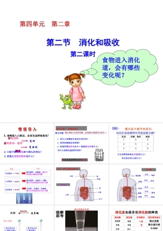 八年级生物上册 4.2.2 消化和吸收（第2课时）课件 鲁科版-鲁科级上册生物课件