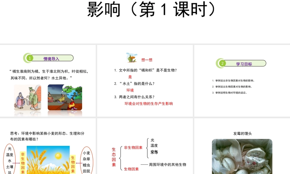 八年级生物上册 1.1.2《生物与环境的相互影响》（第1课时）课件2 （新版）新人教版-（新版）新人教版初中八年级上册生物课件