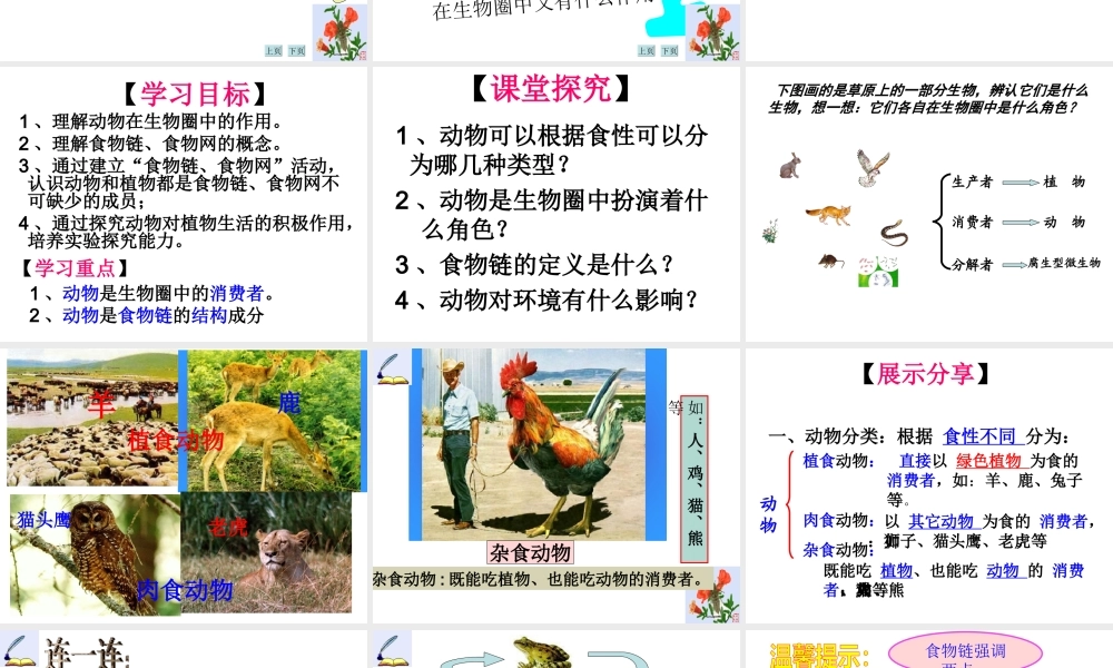 八年级生物上册 17.1《动物在生物圈中的作用》课件2 （新版）北师大版-（新版）北师大版初中八年级上册生物课件