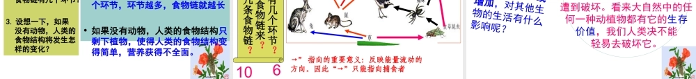 八年级生物上册 17.1《动物在生物圈中的作用》课件2 （新版）北师大版-（新版）北师大版初中八年级上册生物课件