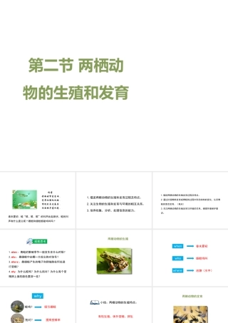 八年级生物上册 4.2.2《两栖动物的生殖和发育》课件 （新版）济南版-（新版）济南级上册生物课件