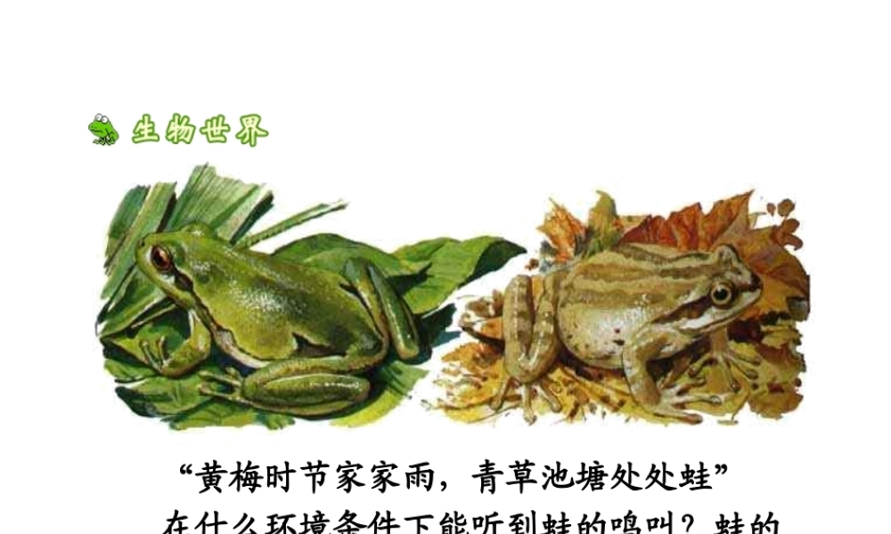 八年级生物上册 4.2.2《两栖动物的生殖和发育》课件1 （新版）济南版-（新版）济南版初中八年级全册生物课件